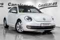 Volkswagen Beetle 1.6TDI Design 105 Blanc - thumbnail 4