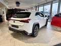 Lexus UX 300e UX 300h F Sport Design Blanco - thumbnail 4