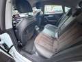 Audi A5 40 g-tron S tronic Sportback sport*Navi Blanc - thumbnail 12