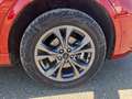 Ford Kuga 2.5 Plug In Hybrid 225 CV CVT 2WD ST-Line X Rouge - thumbnail 15