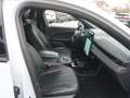 Ford Mustang Mach-E AWD Extended Range *TOPAUSSTATTUNG* Weiß - thumbnail 11