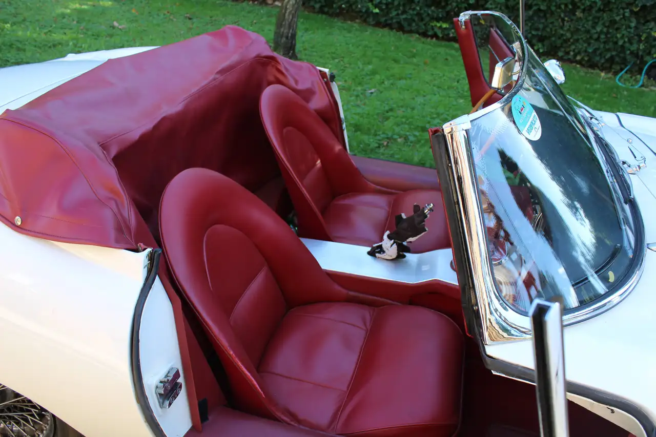 Jaguar E-Type EA SERIE OTS, foto 10