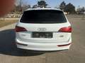 Audi Q5 2,0 TDI quattro S-tronic Weiß - thumbnail 3