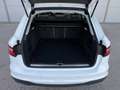 Audi A4 35 TDI S-Tronic Avant STANDHZG. / SITZHZG. / VOLL-LED / NAVI / CARPLAY / TOUCHSCR. / Weiß - thumbnail 16