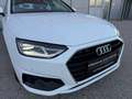 Audi A4 35 TDI S-Tronic Avant STANDHZG. / SITZHZG. / VOLL-LED / NAVI / CARPLAY / TOUCHSCR. / Weiß - thumbnail 7