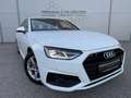 Audi A4 35 TDI S-Tronic Avant STANDHZG. / SITZHZG. / VOLL-LED / NAVI / CARPLAY / TOUCHSCR. / Weiß - thumbnail 1