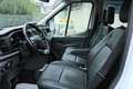 Ford Transit  Pritsche DoKa 2,0 EcoBlue L2H1 310 Trend Weiß - thumbnail 14