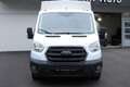 Ford Transit  Pritsche DoKa 2,0 EcoBlue L2H1 310 Trend Weiß - thumbnail 2