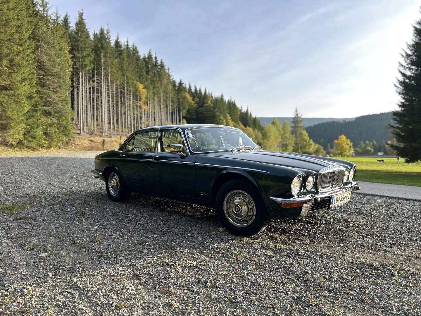 Jaguar XJ Daimler Sovereign 4.2 Grün - 1