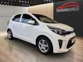 Kia Picanto Edition 7 Weiß - thumbnail 2