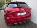 Mazda CX-5 Sports-Line AWD Leder/Head-up/LED/1.Hand Rot - thumbnail 8