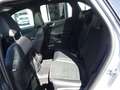 Ford Kuga 2.5 Hybrid Graphite Tech Edition +Panorama+HUD Gris - thumbnail 11