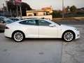 Tesla Model S P90 D - thumbnail 5