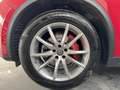 Alfa Romeo Stelvio 2.2 t Super Q4 210cv auto Rosso - thumbnail 6