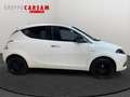 Lancia Ypsilon 1.0 FireFly 70cv S&S Hybrid SILVER Weiß - thumbnail 5