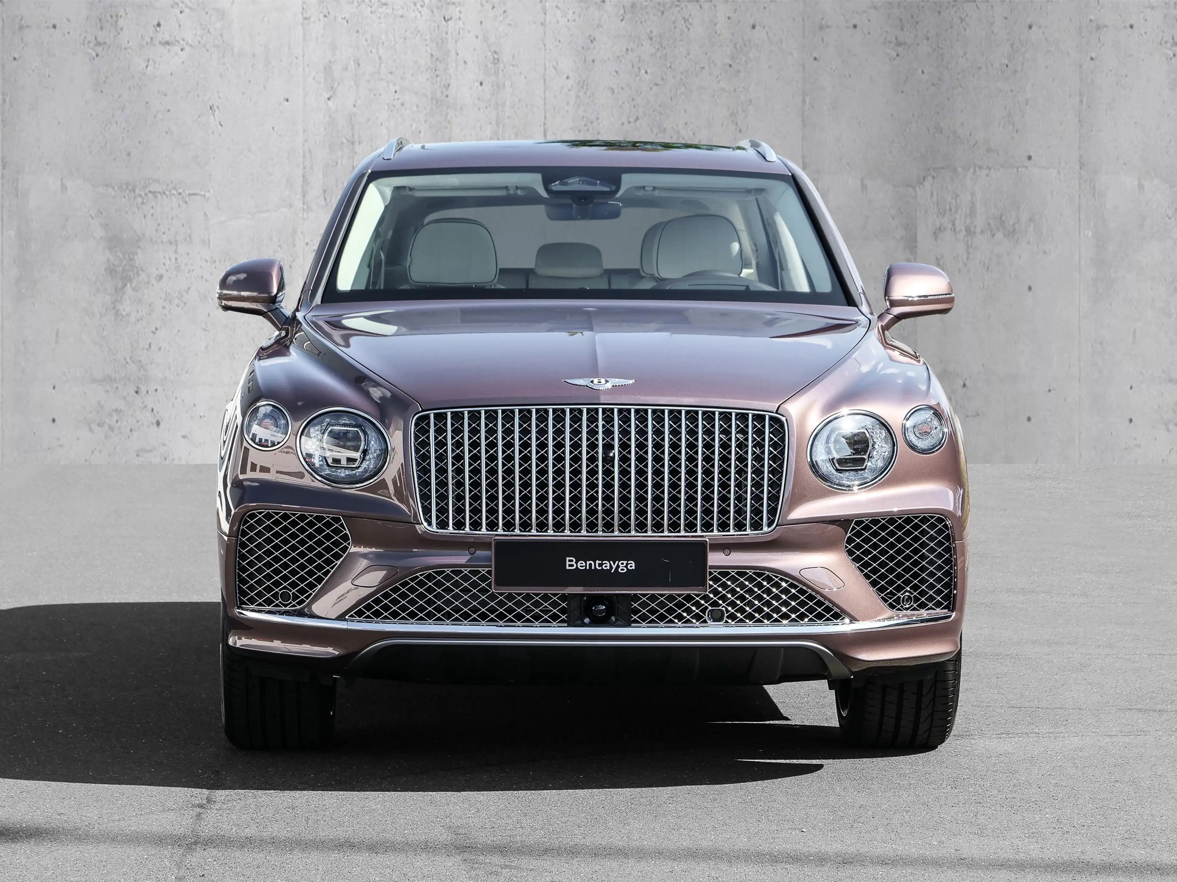 Bentley Bentayga Atelier V8 Bang & Olufsen, Tow Bar — photo 5