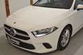 Mercedes-Benz A 160 **1.Besitz**Sportsitze-Leder**Rückfahrkamera** Blanco - thumbnail 4