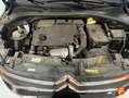 Citroen C3 BlueHDi 75KW (100CV) Plus Schwarz - thumbnail 16