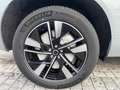 Volvo XC60 XC60 2.0 t6 phev Plus Dark awd auto Grau - thumbnail 13