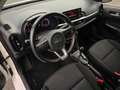 Kia Picanto Spirit 1,2l Automatik *22.000KM* Blanc - thumbnail 9