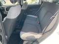 Fiat Panda Panda  0.9 t.air t. natural power City Life 70cv Weiß - thumbnail 13