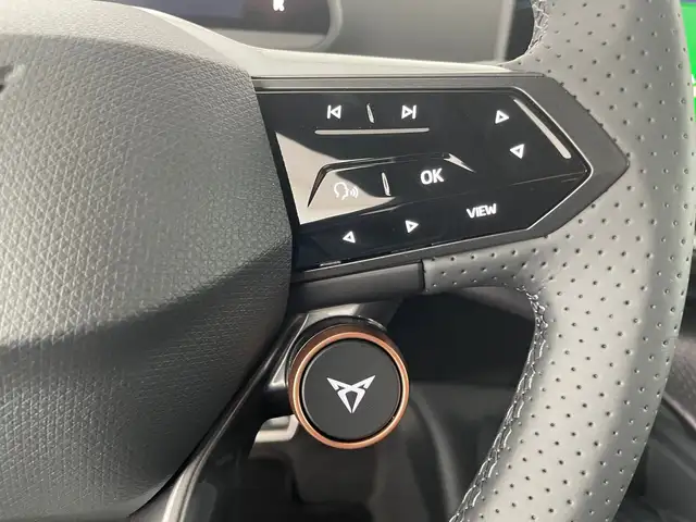 Cupra Tavascan view 15
