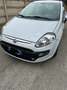 Fiat Punto 5p 1.3 Multijet 2 Turbina Alta - thumbnail 1