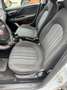 Fiat Punto 5p 1.3 Multijet 2 Turbina Alta - thumbnail 13