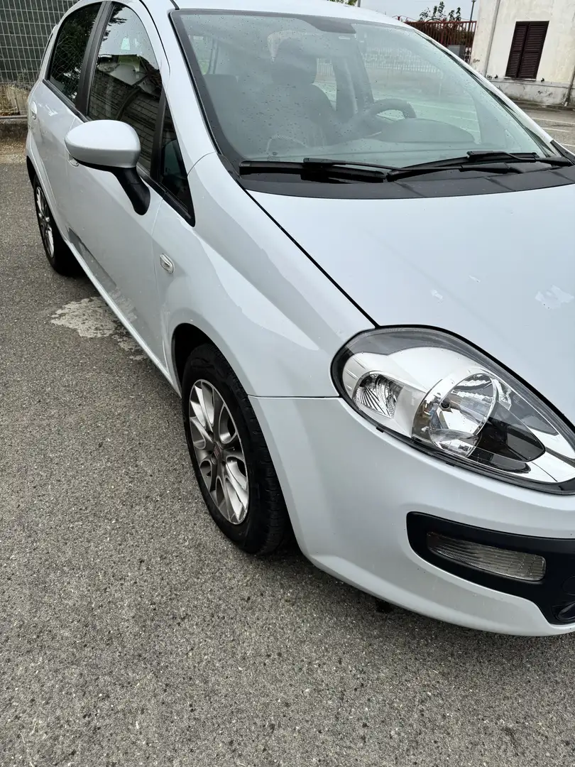 Fiat Punto 5p 1.3 Multijet 2 Turbina Alta - 2