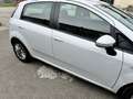 Fiat Punto 5p 1.3 Multijet 2 Turbina Alta - thumbnail 4