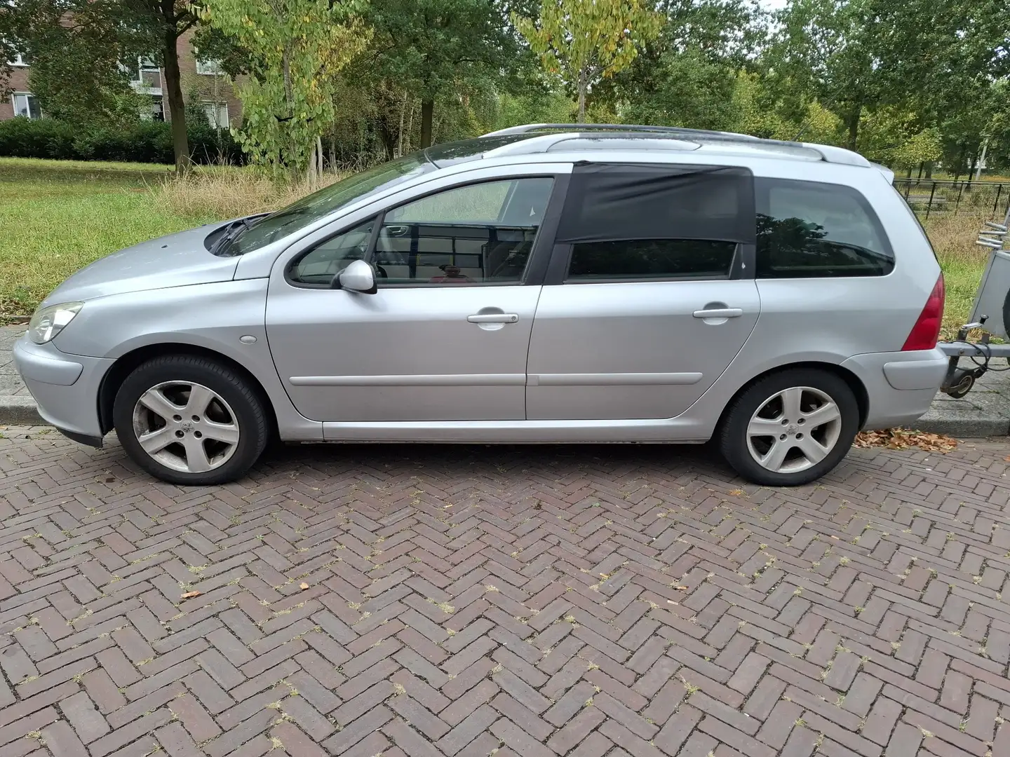 Peugeot 307 2.0 16V Zilver - 2