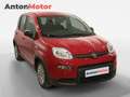 Fiat Panda Classic Rojo - thumbnail 2