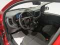 Fiat Panda Classic Rojo - thumbnail 9