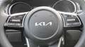 Kia XCeed Xceed 1,0 TGDI 48V GPF Silber Automatik 7 Gang Grau - thumbnail 12