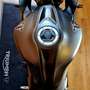 Triumph Noir - thumbnail 20