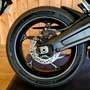 Triumph Noir - thumbnail 8
