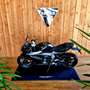 Triumph Noir - thumbnail 6