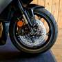 Triumph Noir - thumbnail 28