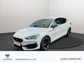 CUPRA Leon 1.5 eTSI DSG LED Navi SHZ Rear View ACC PDC DAB Blanc - thumbnail 1