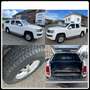 Volkswagen Amarok 2.0 CR TDi 4Motion problème moteur GPS / CLim White - thumbnail 13