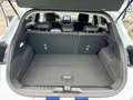 Ford Puma Titanium AHK RFK LED Mild Hybrid Wit - thumbnail 13
