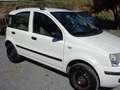 Fiat Panda Panda 1.2 natural power Dynamic Blanc - thumbnail 2