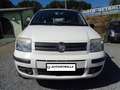 Fiat Panda Panda 1.2 natural power Dynamic Blanc - thumbnail 1
