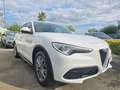 Alfa Romeo Stelvio 2.2TDI Q4 190CV SPORT Blanc - thumbnail 19