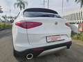 Alfa Romeo Stelvio 2.2TDI Q4 190CV SPORT Blanc - thumbnail 20