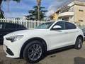 Alfa Romeo Stelvio 2.2TDI Q4 190CV SPORT Blanc - thumbnail 18