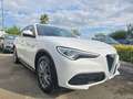Alfa Romeo Stelvio 2.2TDI Q4 190CV SPORT Blanc - thumbnail 13