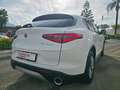 Alfa Romeo Stelvio 2.2TDI Q4 190CV SPORT Blanc - thumbnail 25