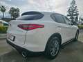 Alfa Romeo Stelvio 2.2TDI Q4 190CV SPORT Blanc - thumbnail 16