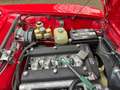 Alfa Romeo GTV GTV 1.3 Junior L Rood - thumbnail 25